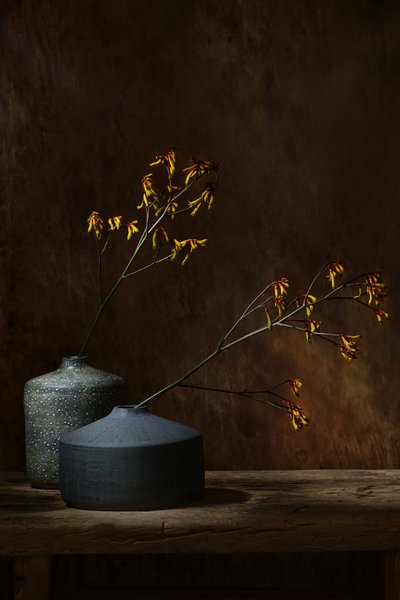  door Saskia Dingemans