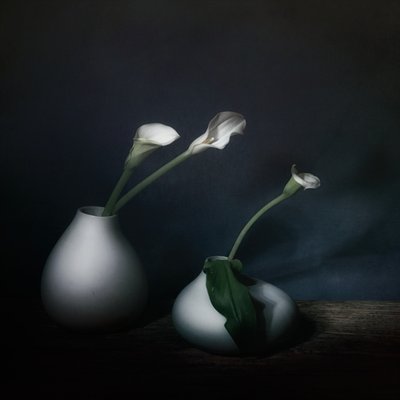  door Saskia Dingemans