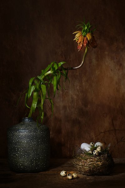  door Saskia Dingemans