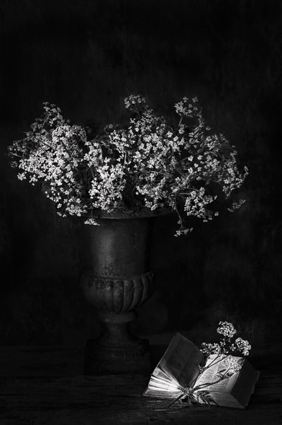  door Saskia Dingemans