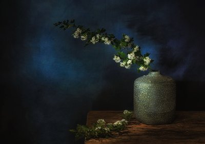  door Saskia Dingemans