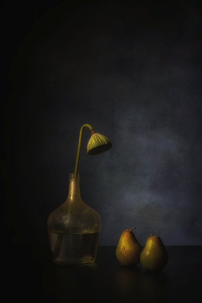  door Saskia Dingemans