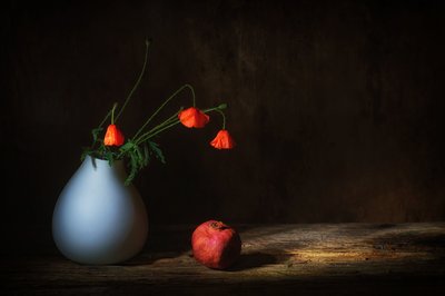  door Saskia Dingemans