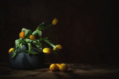  door Saskia Dingemans