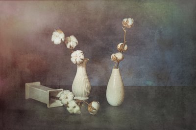  door Saskia Dingemans