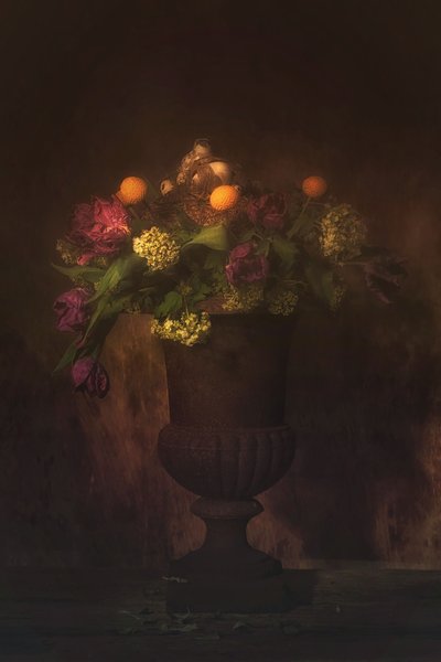  door Saskia Dingemans