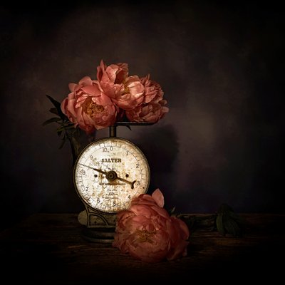  door Saskia Dingemans