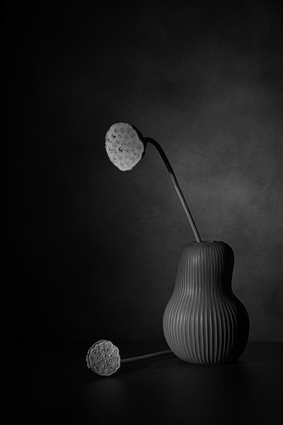  door Saskia Dingemans