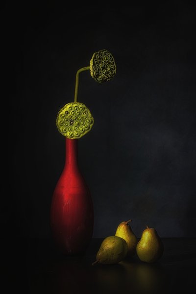  door Saskia Dingemans