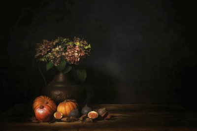  door Saskia Dingemans