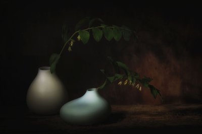  door Saskia Dingemans