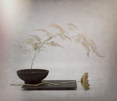  door Saskia Dingemans