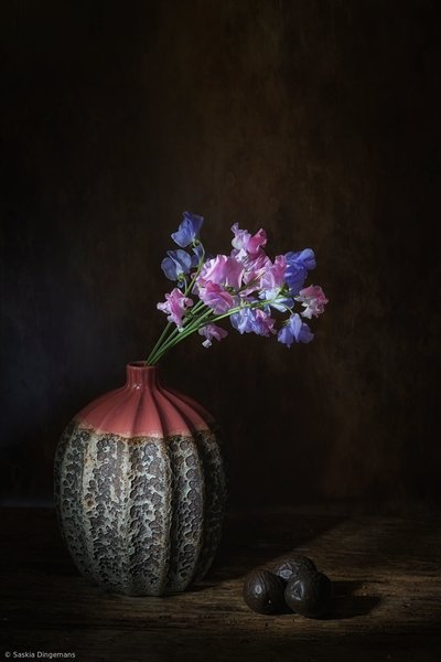  door Saskia Dingemans