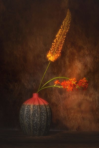  door Saskia Dingemans