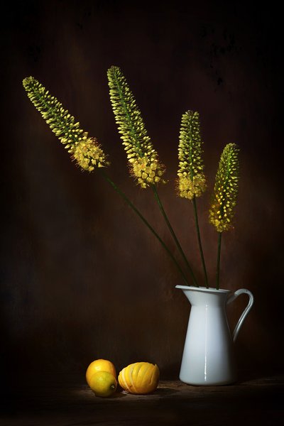  door Saskia Dingemans