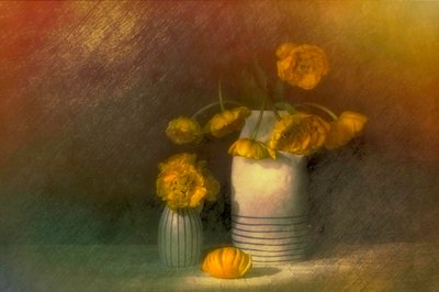  door Saskia Dingemans