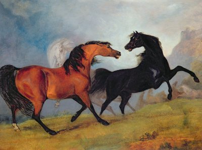 Vechtende paarden door Sawrey Gilpin