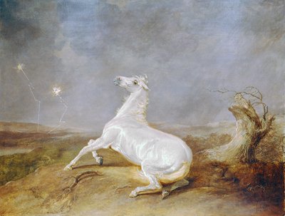 Gek paard door Sawrey Gilpin