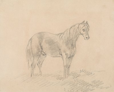 Mannelijk Paard door Sawrey Gilpin