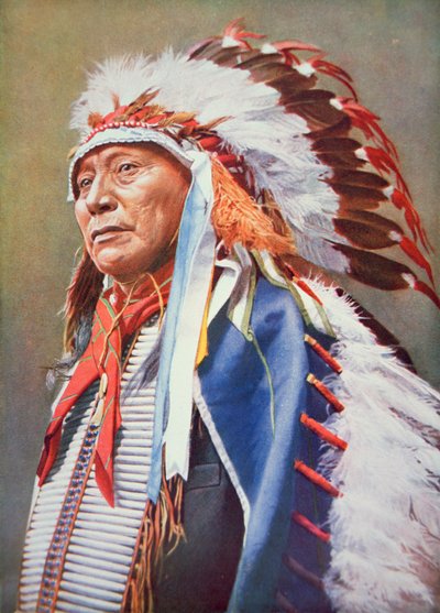 Chief Hollow Horn Bear door School American