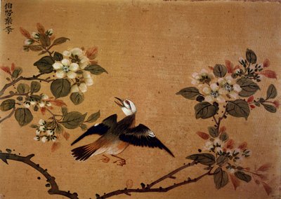 Chinese kunst: vogel en bloemen. 16e eeuw zijde schilderij. Parijs, B.N. door School Chinese