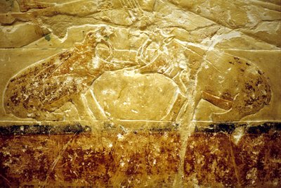 Oud Egypte, muurgravure/schildering, Mastaba/graf van Idout, Saqqara, 6e dynastie, Twee nijlpaarden vechten door School Egyptian