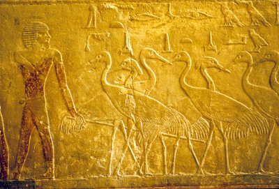 Oude Egypte, muurschildering, Mastaba/Graf van Ti, Saqqara, 5e Dynastie, Een boer die tamme kraanvogels leidt door School Egyptian