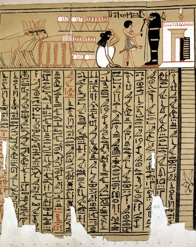 Egyptische Hiërogliefen door School Egyptian