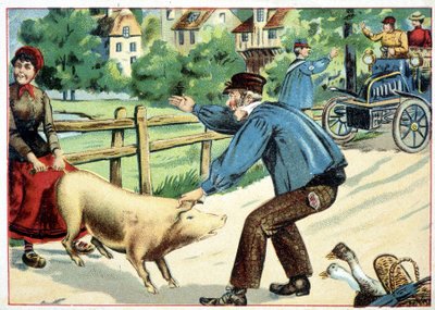 Varken dat weigert vooruit te gaan en de weg verspert voor een auto - tekening. door School French