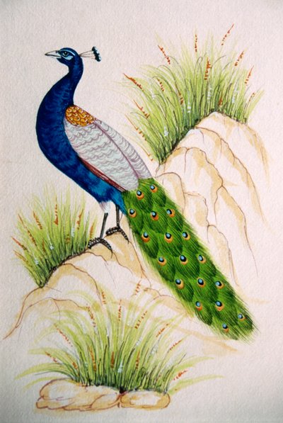 Miniatuurschilderij op zijde Pauw door School Indian