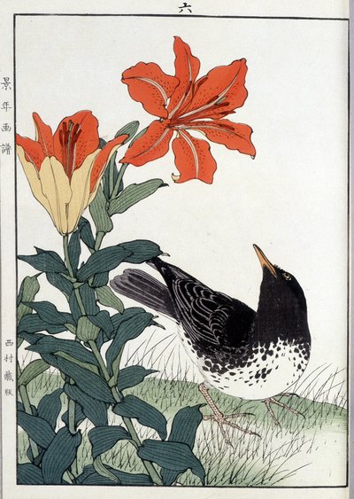 Merel en lelie bloemen - Japanse prent door Japanese School