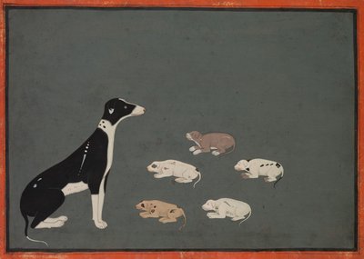 Hond met pups, ca. 1780 (inkt en dekkende aquarel op papier) door School Mughal