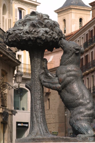 El Oso de Madrono door School Spanish