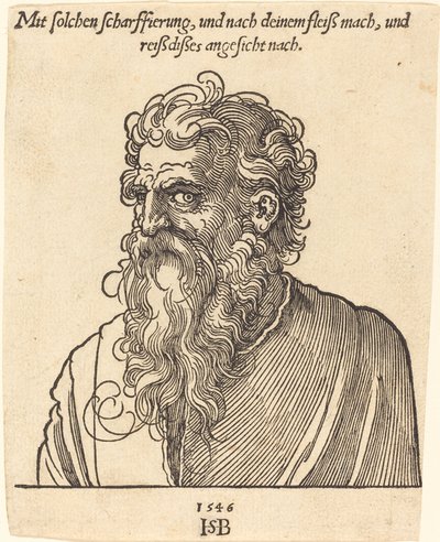 Portret van een Oudere Man naar Links door Sebald Beham