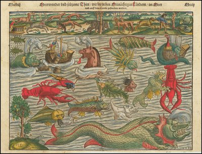 Zee wonderen en vreemde dieren, zoals gevonden in de buurlanden in de zee en op het land door Sebastian Munster