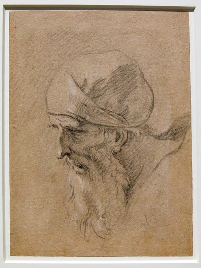 Hoofd van een oude man door Sebastiano Ricci
