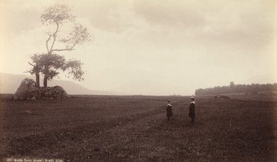 Ten zuiden van Ames, North Elba, ca. 1888 (foto) door Seneca Ray Stoddard
