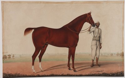 Een paard en stalknecht, ca. 1840 door Shaik Muhammad Amir of Karraya