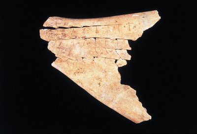 Pictogram op een os scapula met een ritueel om gevaar af te weren door Shang Dynasty Chinese School
