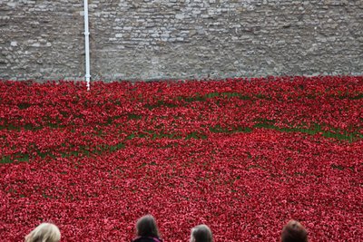 Blood Swept Lands and Seas of Red, Tower of London door Sheldon Marshall