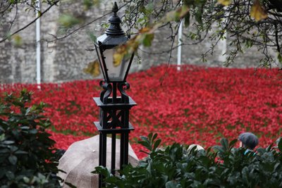 Bloed doordrenkte landen en zeeën van rood, Tower of London door Sheldon Marshall