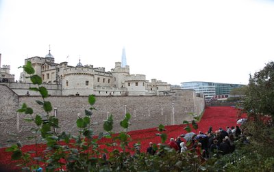 Bloed doordrenkte landen en zeeën van rood, Tower of London, 2014 door Sheldon Marshall