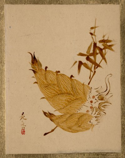  door Shibata Zeshin