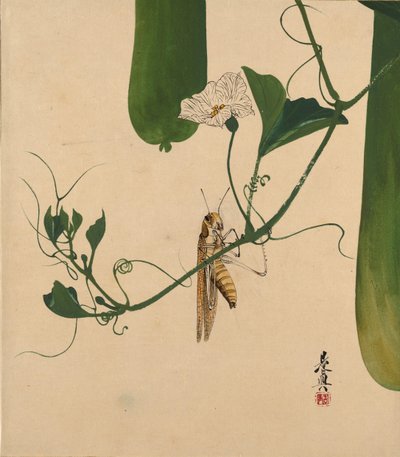 Lakschilderijen van verschillende onderwerpen: sprinkhaan op kalebaswijnstok, 1882 door Shibata Zeshin