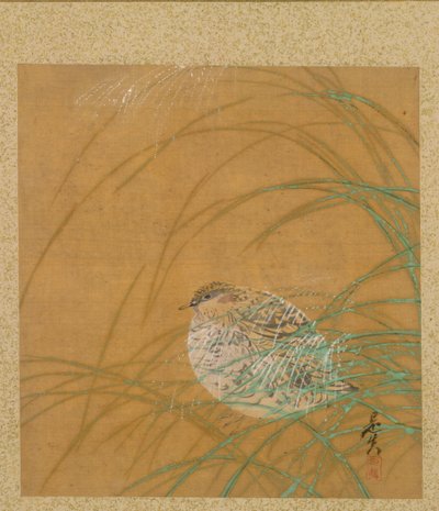 Kwartel in Gras uit Album van Schilderijen door de Eerwaarde Zeshin door Shibata Zeshin