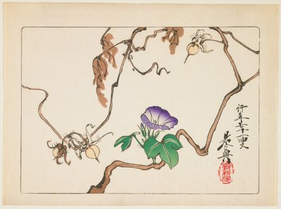  door Shibata Zeshin