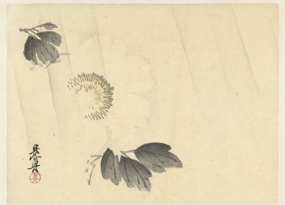 Witte pioenroos in de regen door Shibata Zeshin
