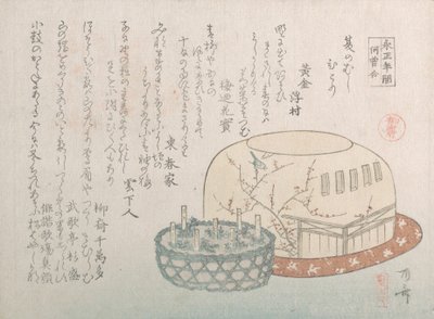 Insectenvanger en potkruiden door Shinsai