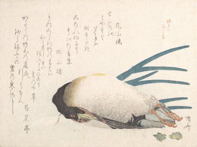 Lente regen collectie Harusame shu, deel 1: Eend en lente-uitjes door Shinsai
