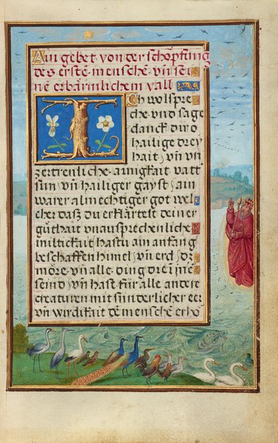 Bordüre mit der Erschaffung von Vögeln und Fischen door Simon Bening